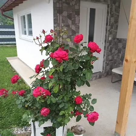 Visoko-oaza Mira Apartman *