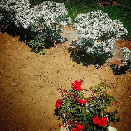 Apartment Visoko-oaza Mira *